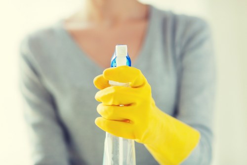 Professional cleaner in Islington preparing a home for a fresh clean