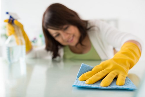 Professional carpet cleaner in Islington cleaning a home carpet