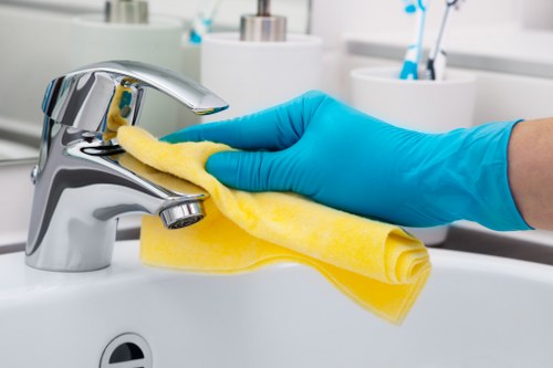 Professional house cleaning in Islington for regular home upkeep